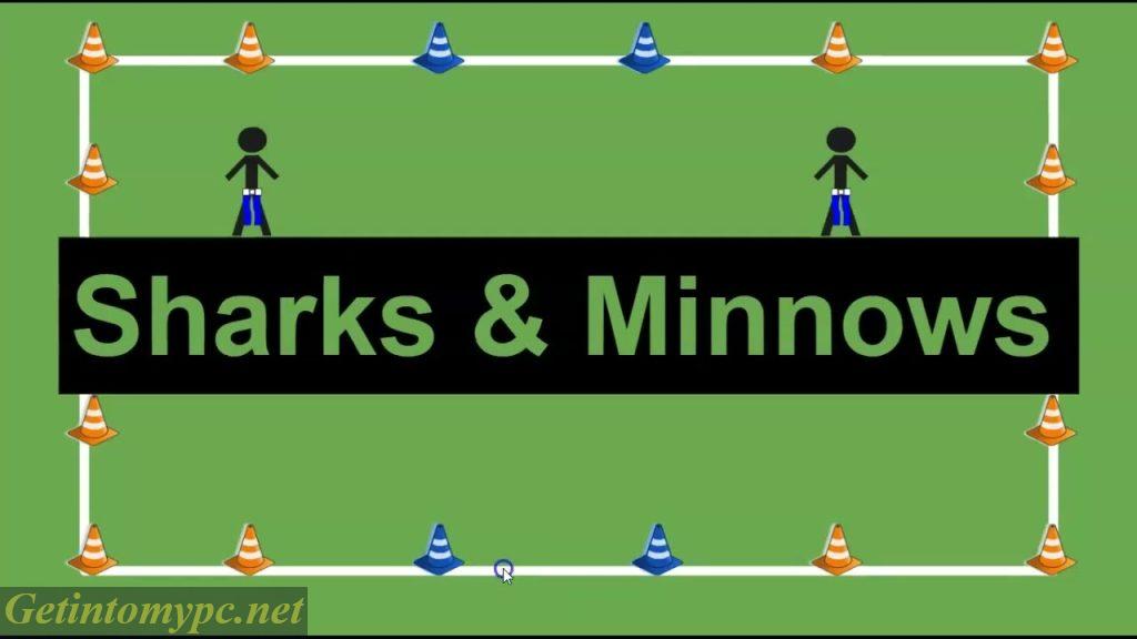 Sharks and Minnows Game