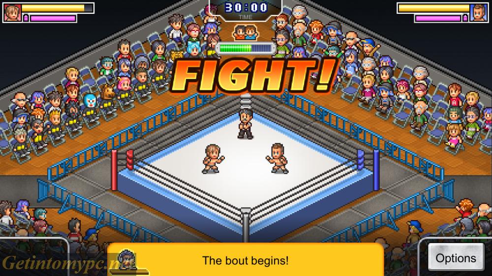 Pro Wrestler Story